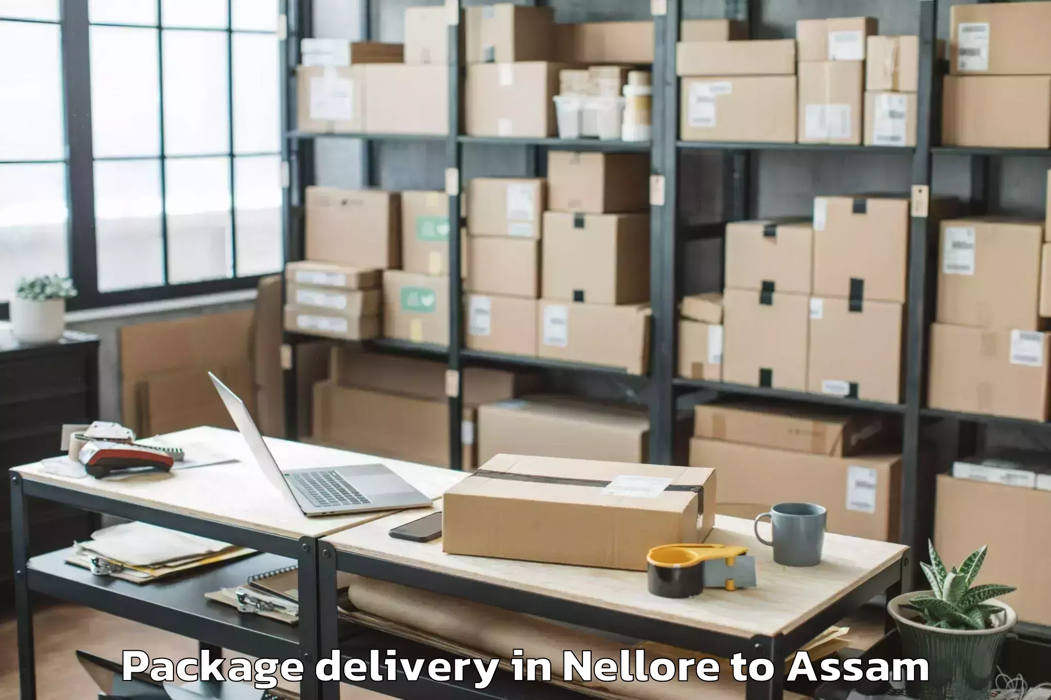 Professional Nellore to Jorhat Package Delivery